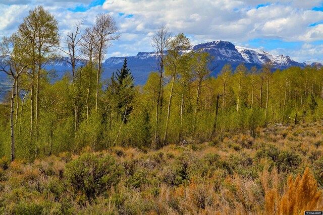TBD Ramshorn Ranch Rd, Dubois, WY 82513