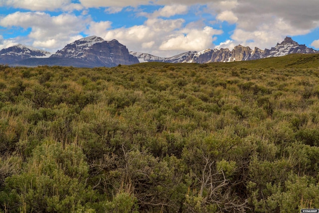 TBD Ramshorn Ranch Rd, Dubois, WY 82513