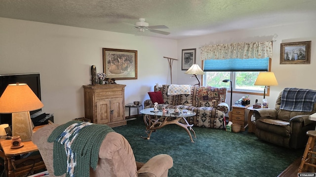 190 Ln 7, Thermopolis, WY 82443 - living room with ceiling fan, carpet flooring, and a textured ceiling