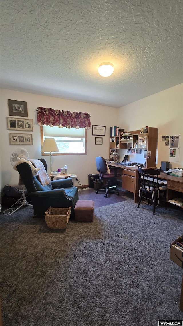 190 Ln 7, Thermopolis, WY 82443 - office space with carpet flooring and a textured ceiling