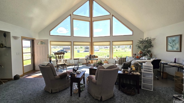190 Ln 7, Thermopolis, WY 82443 - living area featuring high vaulted ceiling, plenty of natural light, and carpet floors