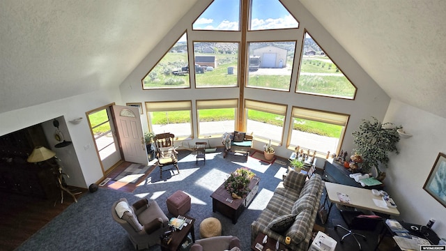 190 Ln 7, Thermopolis, WY 82443 - living room featuring high vaulted ceiling, a textured ceiling, and wood finished floors