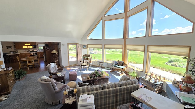 190 Ln 7, Thermopolis, WY 82443 - living area with high vaulted ceiling and wood finished floors