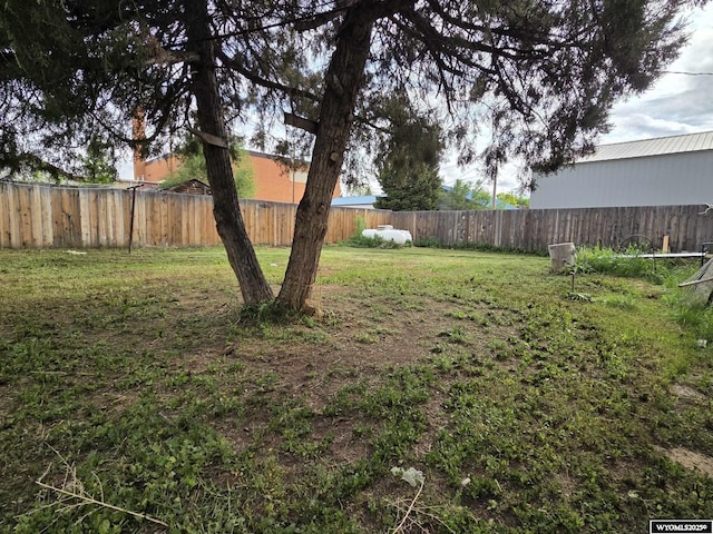 311 3rd St, Ten Sleep, WY 82442 - view of yard
