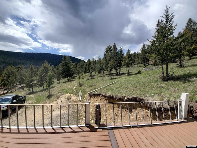 8 Lookout Ln, Dubois, WY 82513 - wooden terrace with a view of trees