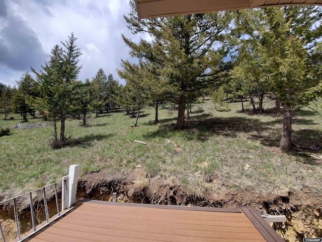 8 Lookout Ln, Dubois, WY 82513 - view of yard