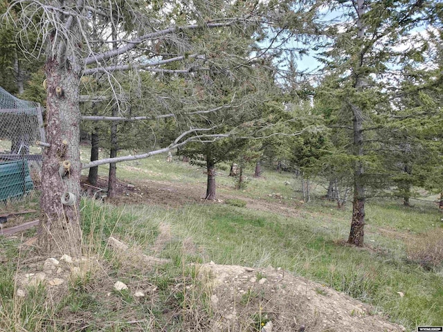 8 Lookout Ln, Dubois, WY 82513 - view of local wilderness