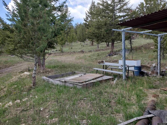 8 Lookout Ln, Dubois, WY 82513 - view of yard