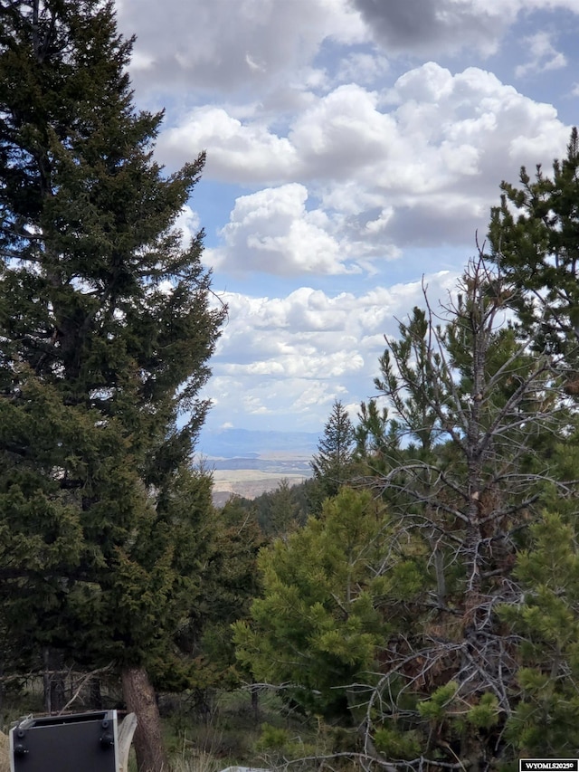 8 Lookout Ln, Dubois, WY 82513 - view of mountain background with a heavily wooded area