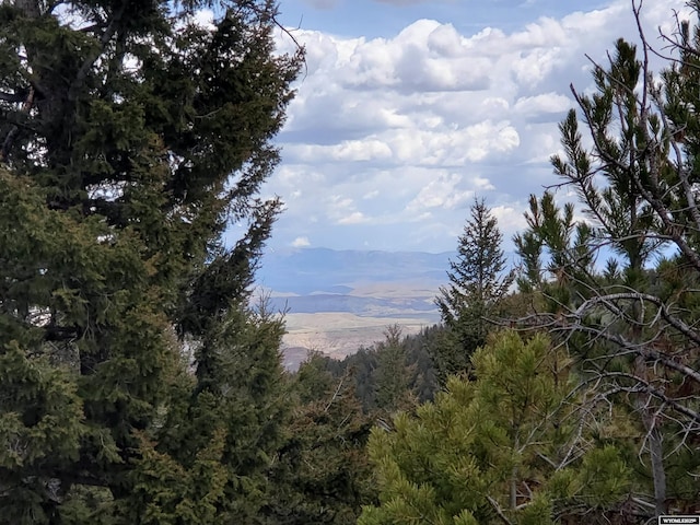 8 Lookout Ln, Dubois, WY 82513 - view of mountain background featuring a heavily wooded area
