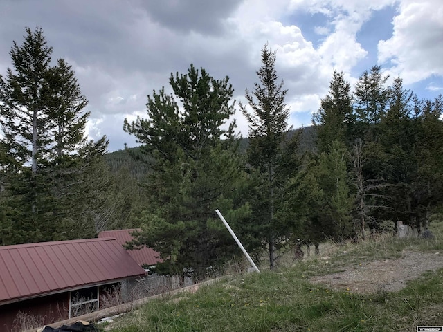 8 Lookout Ln, Dubois, WY 82513 - view of yard featuring a forest view