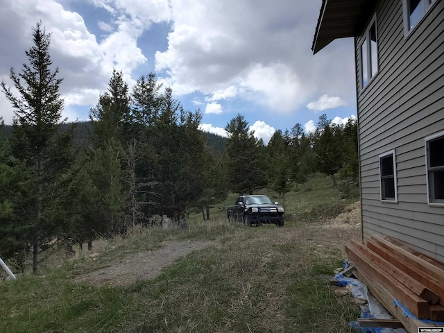 8 Lookout Ln, Dubois, WY 82513 - view of yard with a wooded view