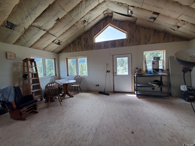 8 Lookout Ln, Dubois, WY 82513 - miscellaneous room featuring plenty of natural light and high vaulted ceiling