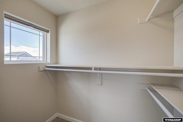 827 Dusty Ter, Mills, WY 82604 - view of spacious closet