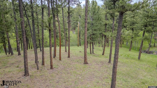 2921 Esterbrook Rd, Esterbrook, WY 82633 - view of wooded area
