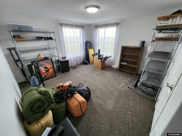 2 Freight Wagon Rd, Farson, WY 82932 - exercise room featuring carpet