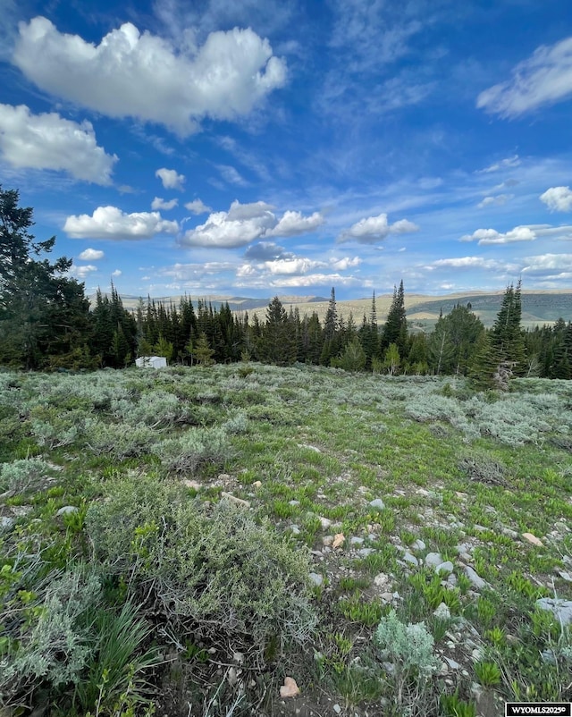 Brown Trout Dr, Kemmerer, WY 83101