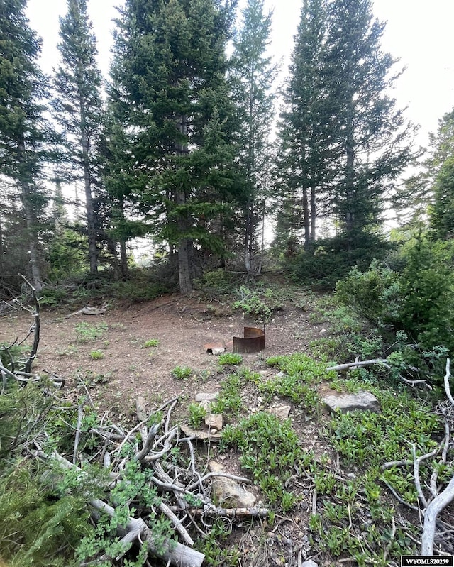Brown Trout Dr, Kemmerer, WY 83101