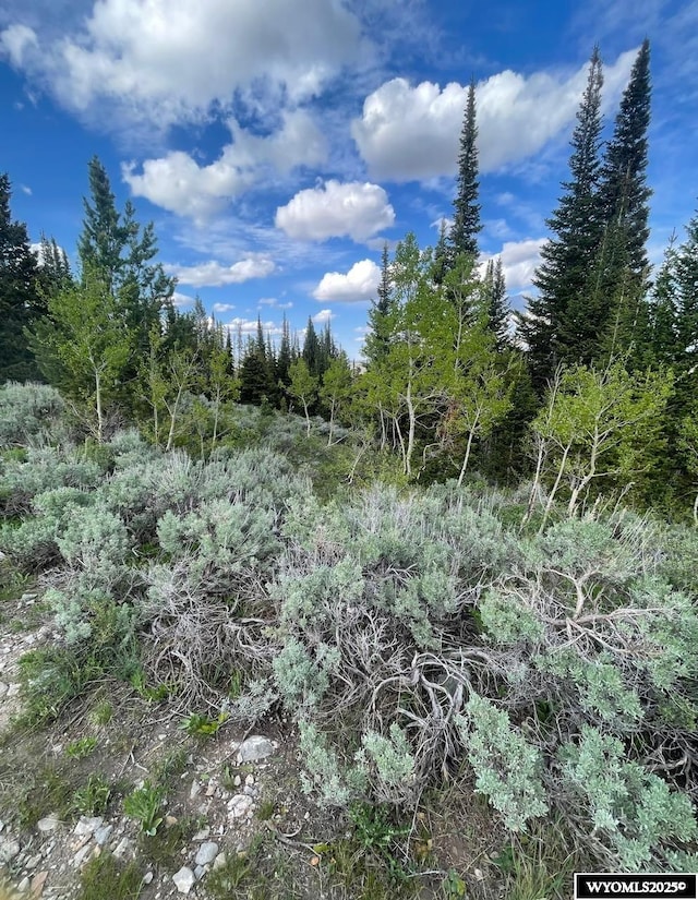 Brown Trout Dr, Kemmerer, WY 83101
