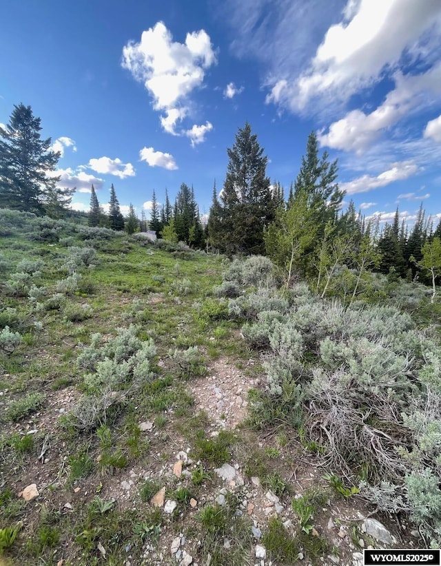 Brown Trout Dr, Kemmerer, WY 83101