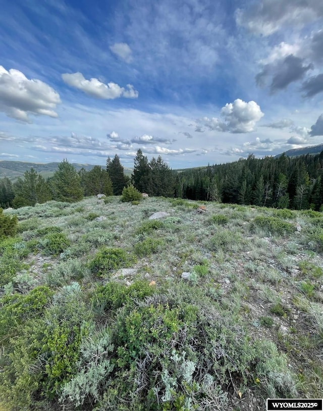 Brown Trout Dr, Kemmerer, WY 83101