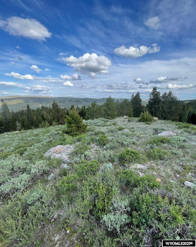 Brown Trout Dr, Kemmerer, WY 83101