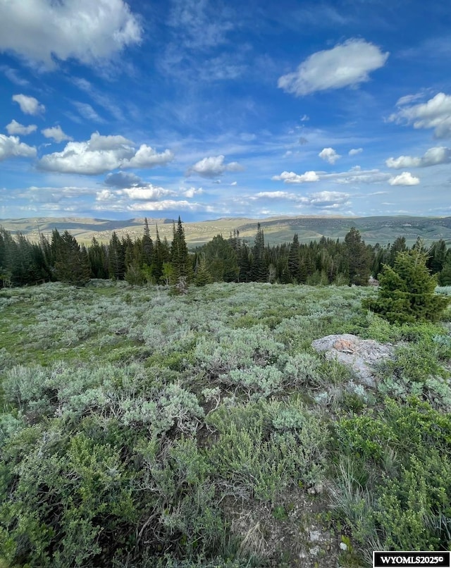 Brown Trout Dr, Kemmerer, WY 83101