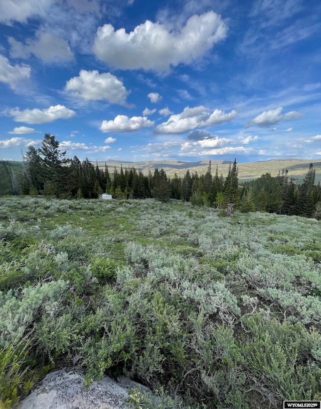 Brown Trout Dr, Kemmerer, WY 83101