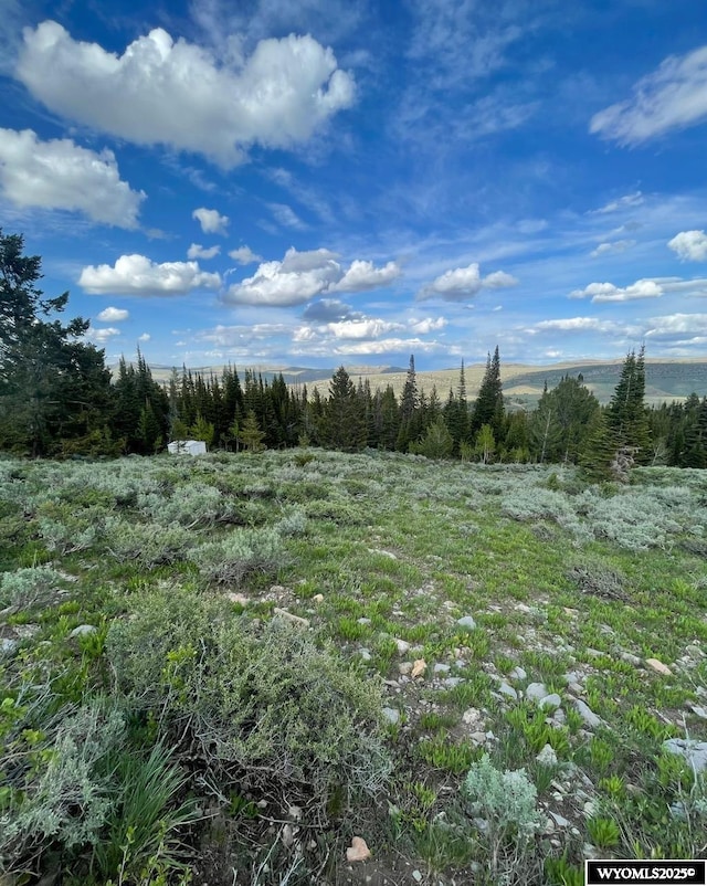 Brown Trout Dr, Kemmerer, WY 83101