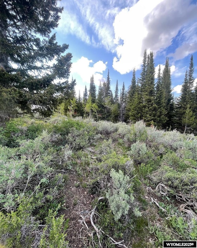 Brown Trout Dr, Kemmerer, WY 83101