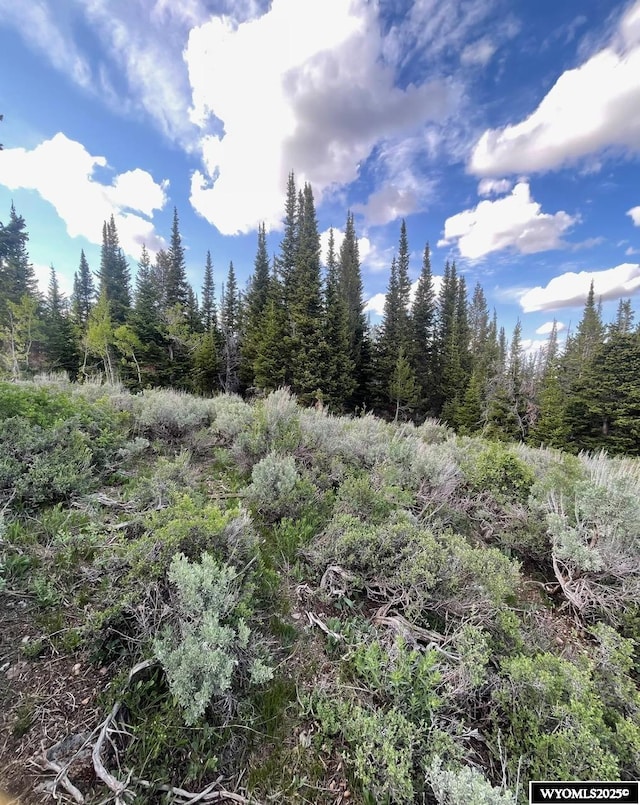 Brown Trout Dr, Kemmerer, WY 83101