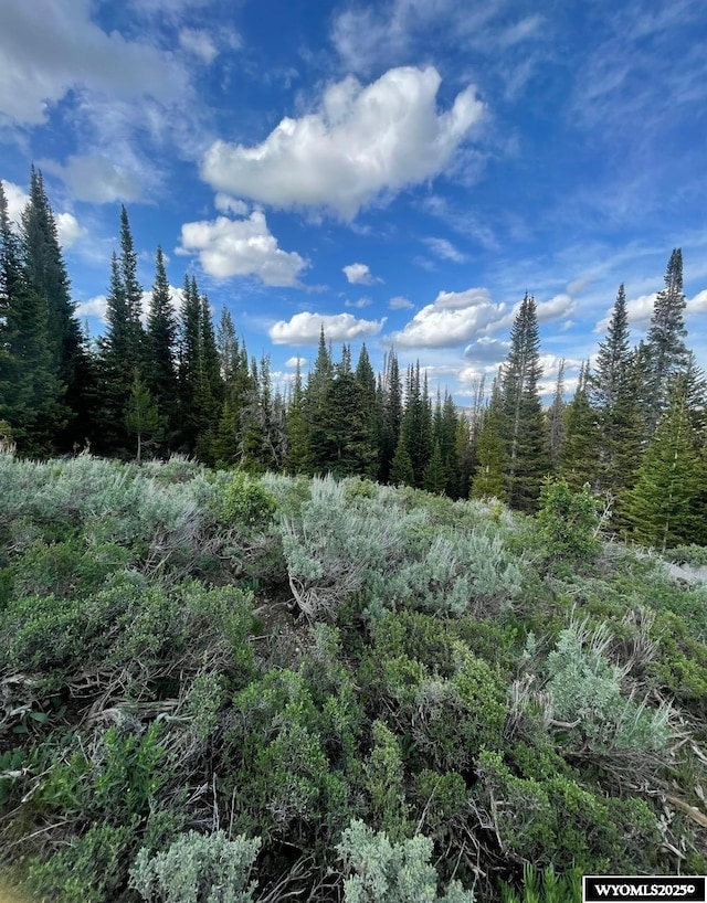 Brown Trout Dr, Kemmerer, WY 83101