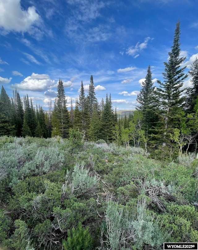 Brown Trout Dr, Kemmerer, WY 83101