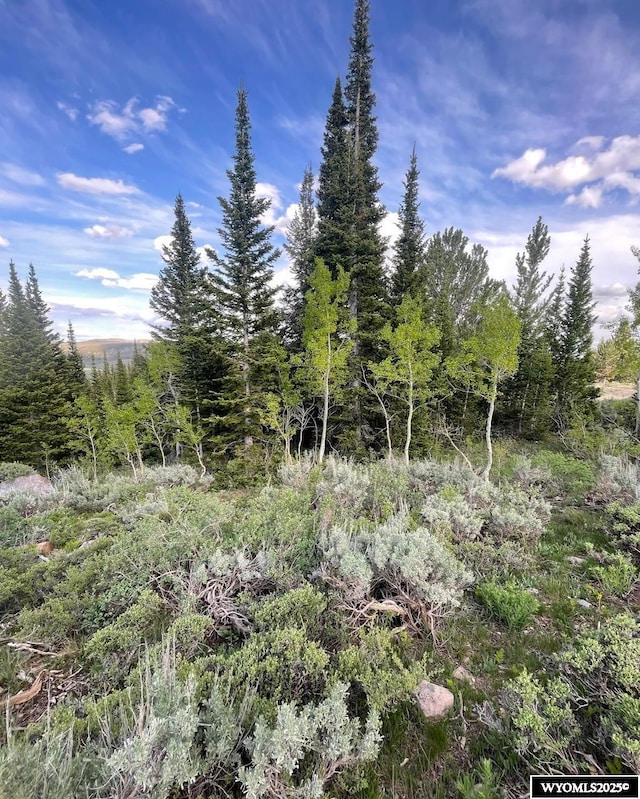Brown Trout Dr, Kemmerer, WY 83101