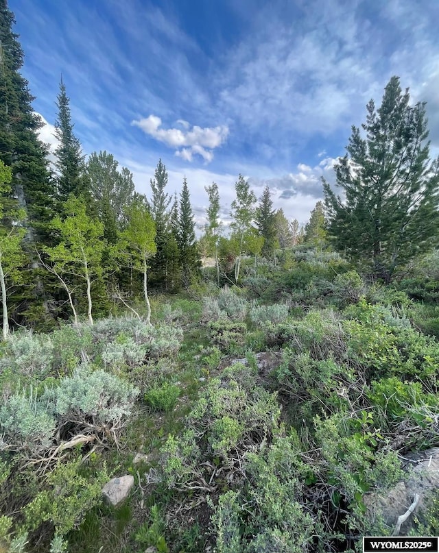Brown Trout Dr, Kemmerer, WY 83101