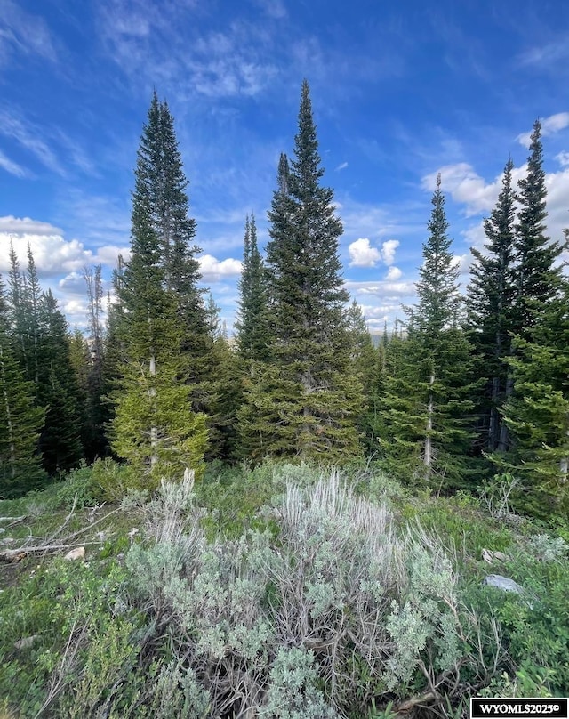 Brown Trout Dr, Kemmerer, WY 83101