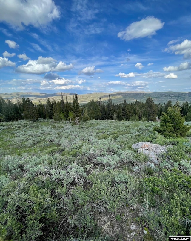 Brown Trout Dr, Kemmerer, WY 83101