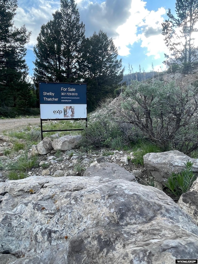 Brown Trout Dr, Kemmerer, WY 83101