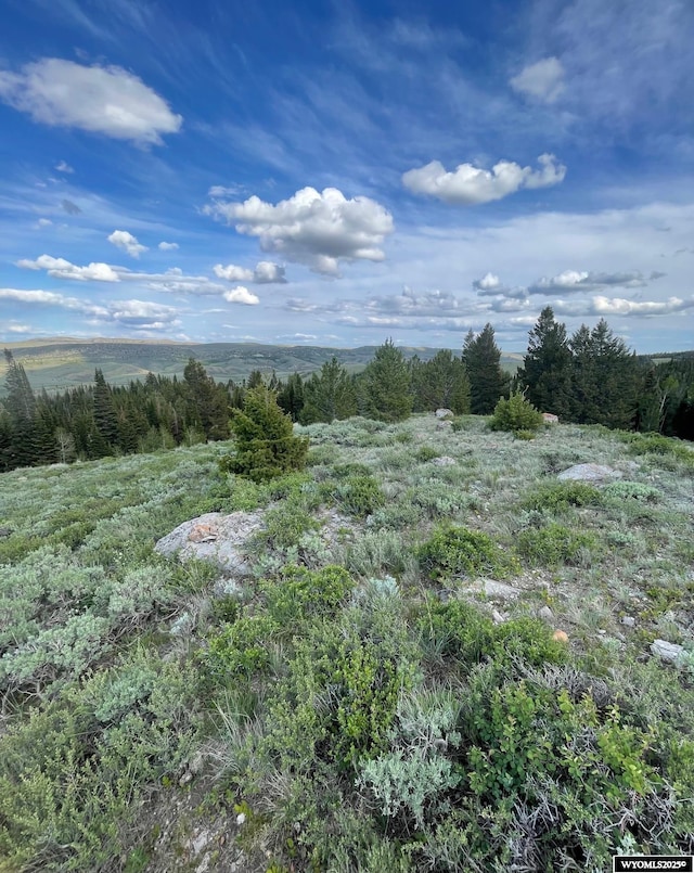 Brown Trout Dr, Kemmerer, WY 83101