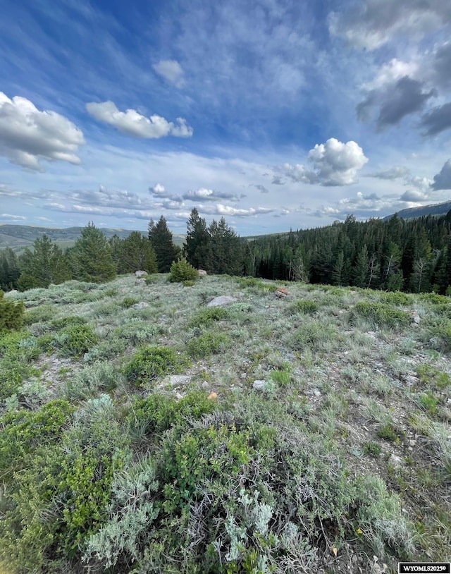 Brown Trout Dr, Kemmerer, WY 83101
