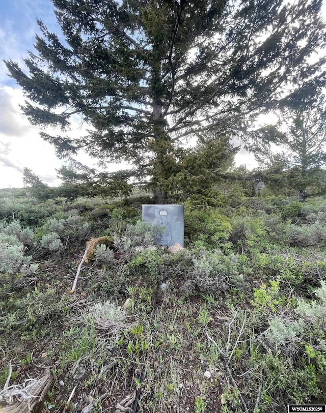 Brown Trout Dr, Kemmerer, WY 83101