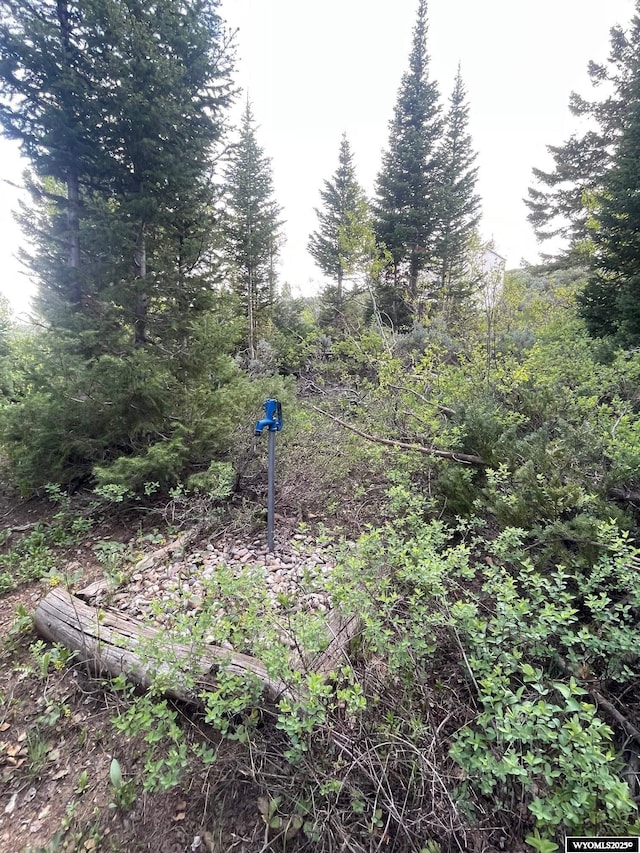 Brown Trout Dr, Kemmerer, WY 83101