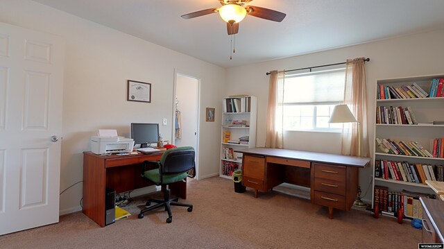 1141 Meadow Ln, Douglas, WY 82633 - office area with ceiling fan and light carpet