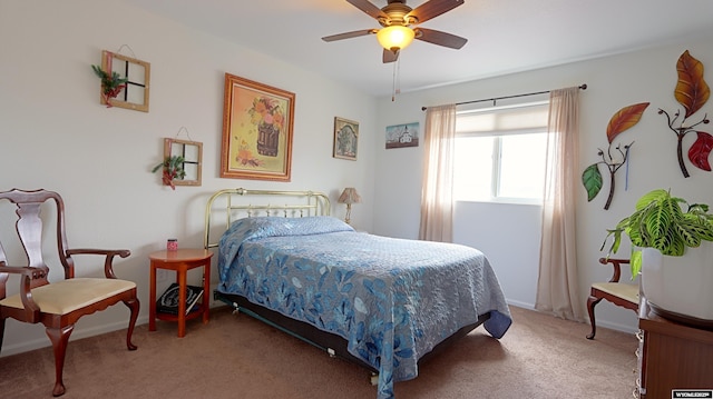 1141 Meadow Ln, Douglas, WY 82633 - bedroom with light colored carpet, baseboards, and a ceiling fan