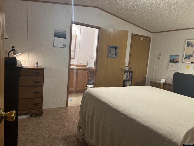 608 Navy Row, Midwest, WY 82643 - bedroom featuring ornamental molding, lofted ceiling, ensuite bathroom, a textured ceiling, and light carpet