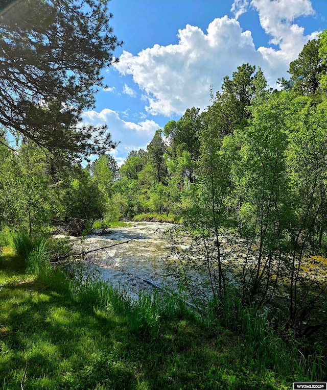 10 Lodore Ave, Story, WY 82842