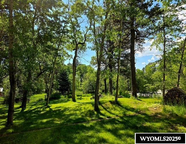 10 Lodore Ave, Story, WY 82842