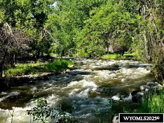 10 Lodore Ave, Story, WY 82842