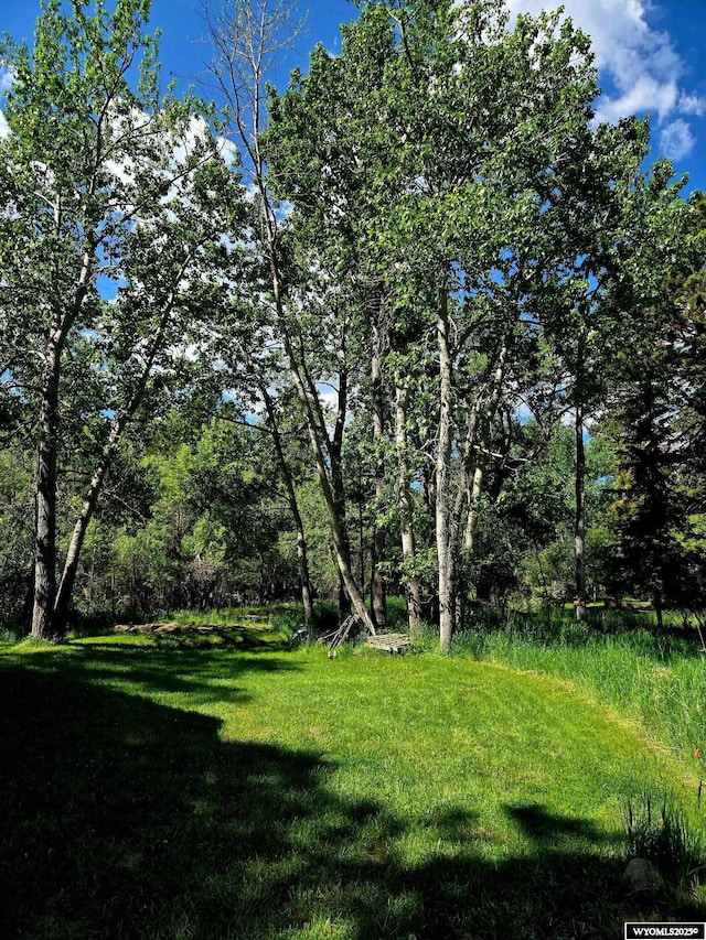 10 Lodore Ave, Story, WY 82842