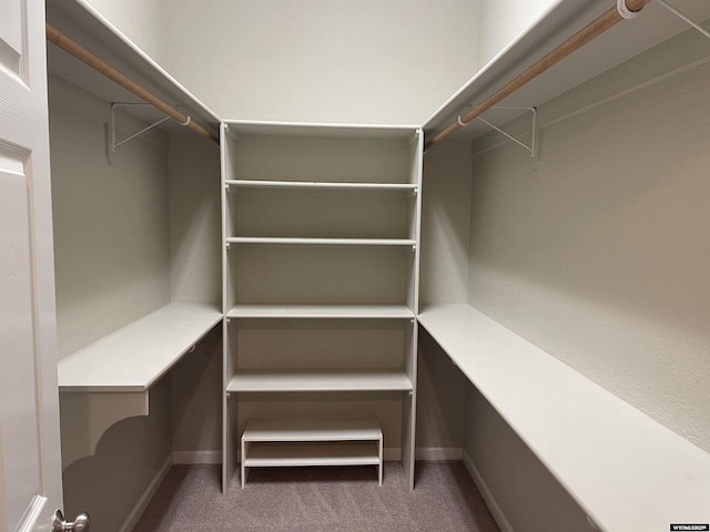 4924 Mountain Way, Casper, WY 82601 - walk in closet featuring carpet flooring